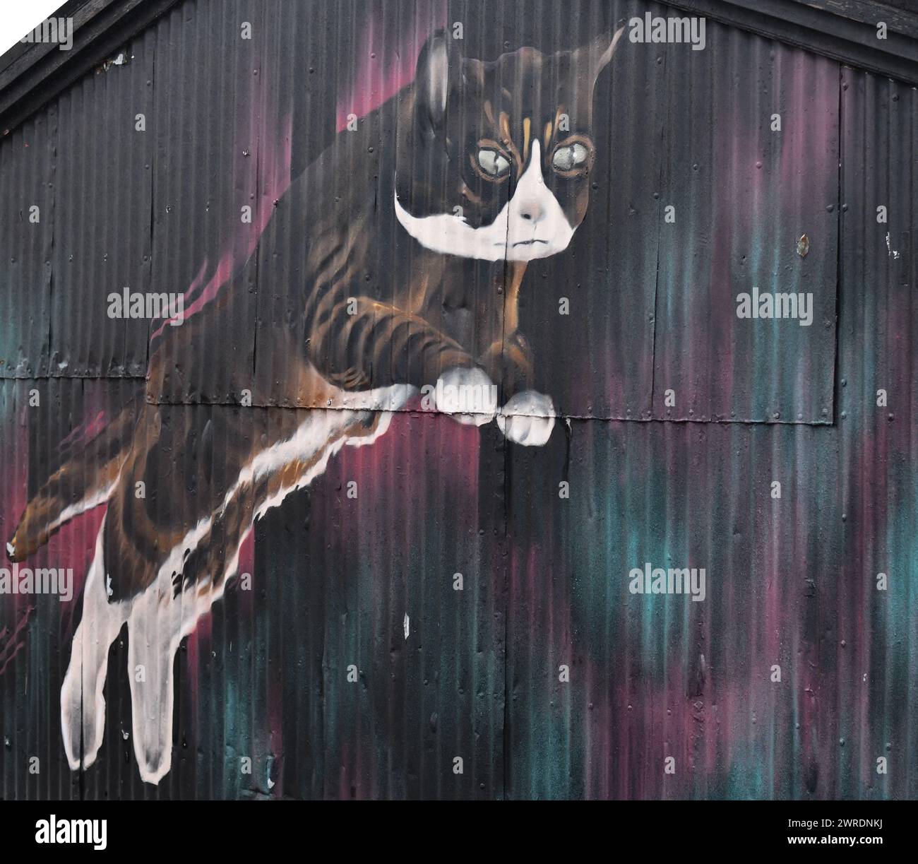 Photographie de Street art également connu sous le nom de graffiti à Reykjavik, Islande. Un chat sautant sur le côté d'une cabane de type fer ondulé. Banque D'Images