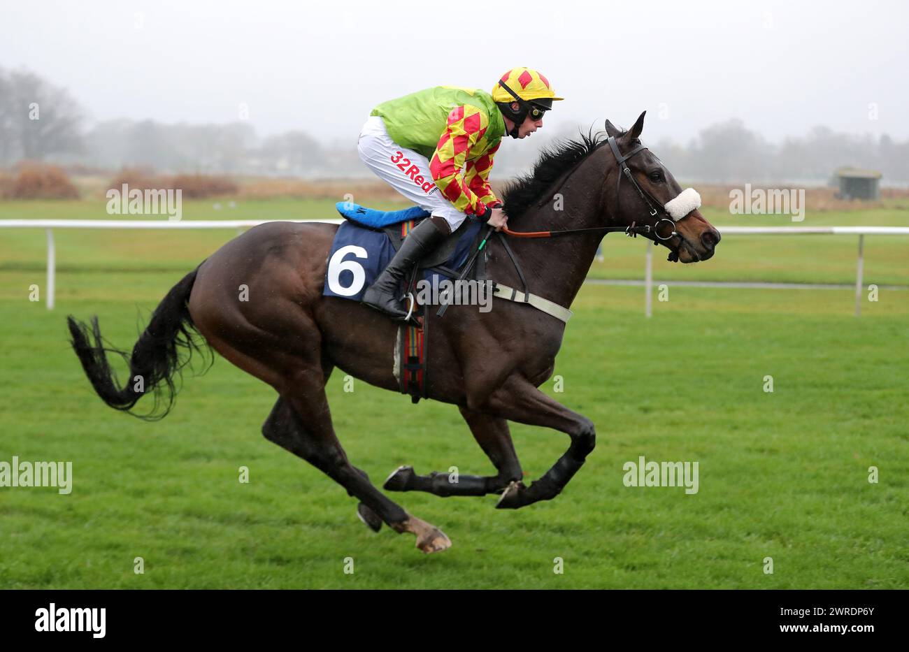 Photo de dossier datée du 01-12-2018 de Lord du Mesnil, qui aime les terrains d'essai et est hors de sa note la plus basse depuis quelque temps dans le 2,50 à Cheltenham - 1pt dans chaque sens. Date d'émission : mardi 12 mars 2024. Banque D'Images