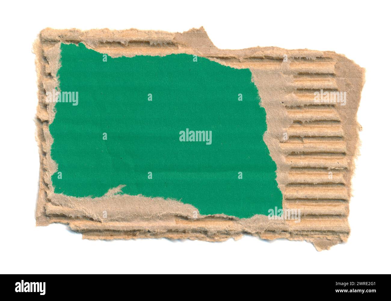 Morceau de carton déchiré, fond pour bannière. Message de morceau de papier vierge, rappel, étiquette, étiquette. Carton ondulé déchiré vide fond vert Banque D'Images