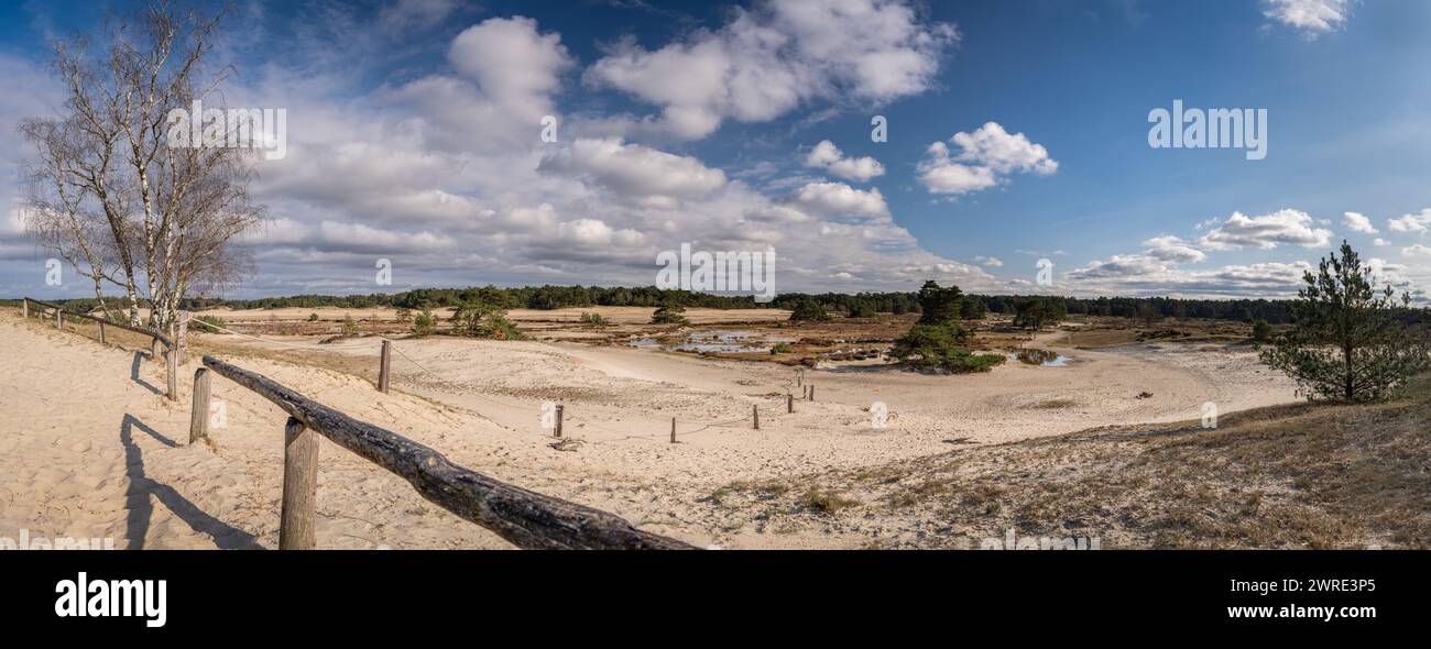 Vue panoramique présentant des dunes de sable dérivantes, des flaques d'eau et de forêt. Réserve naturelle de Veluwe aux pays-Bas, avec une clôture de protection Banque D'Images
