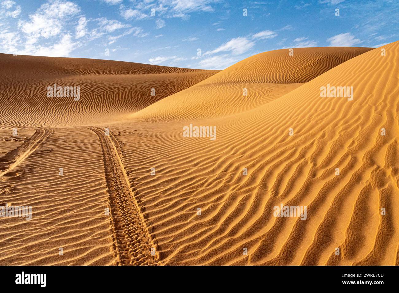 Paysage d'Erg Admer dans le désert du Sahara, Algérie. Une vue sur les dunes et les ondulations creusées par le vent dans le sable. Les traces d'une jeep 4x4 s'enfoncent Banque D'Images