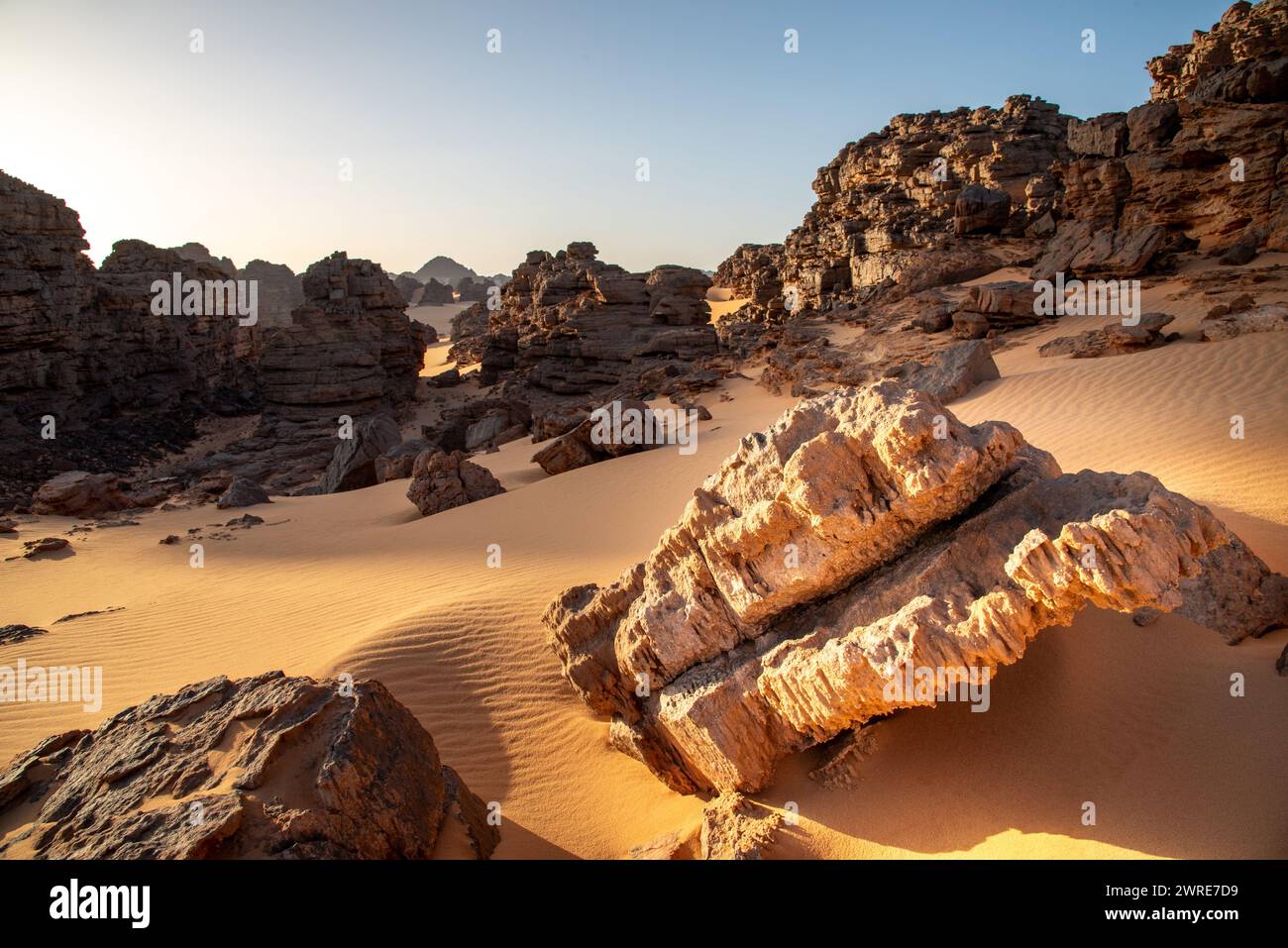 Paysage de Tadrart dans le désert du Sahara, Algérie. Des blocs de grès sculptés par érosion émergent du sable jaune de Tadrart Banque D'Images