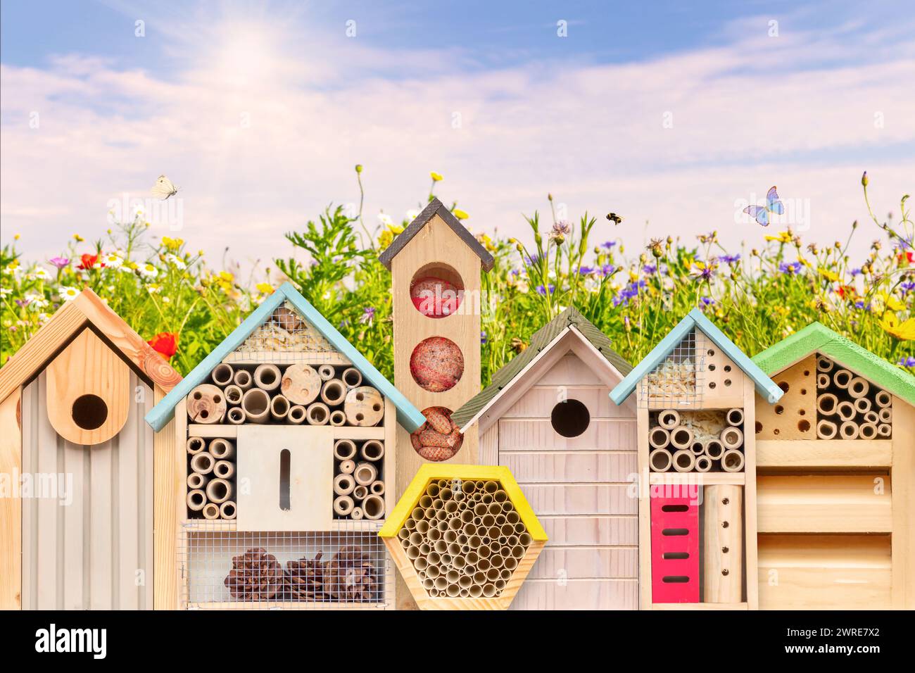 De nouvelles maisons d'oiseaux colorées et des hôtels d'insectes devant des fleurs sauvages en fleurs avec des insectes volants Banque D'Images