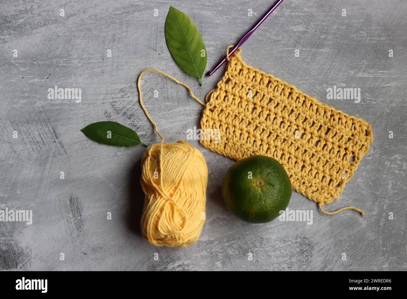 Crochet écharpe en cours. Crochet crochet, fil de coton jaune, citron vert et feuilles sur fond gris, vue de dessus Banque D'Images