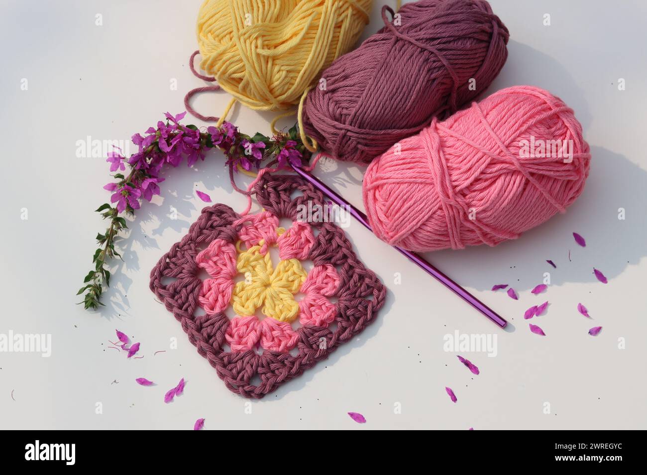 Carré Granny crocheté rose, boules de fil de coton doux de différentes nuances de couleur rose. Fond blanc avec espace de copie. Concept de crochet de ressort. Banque D'Images