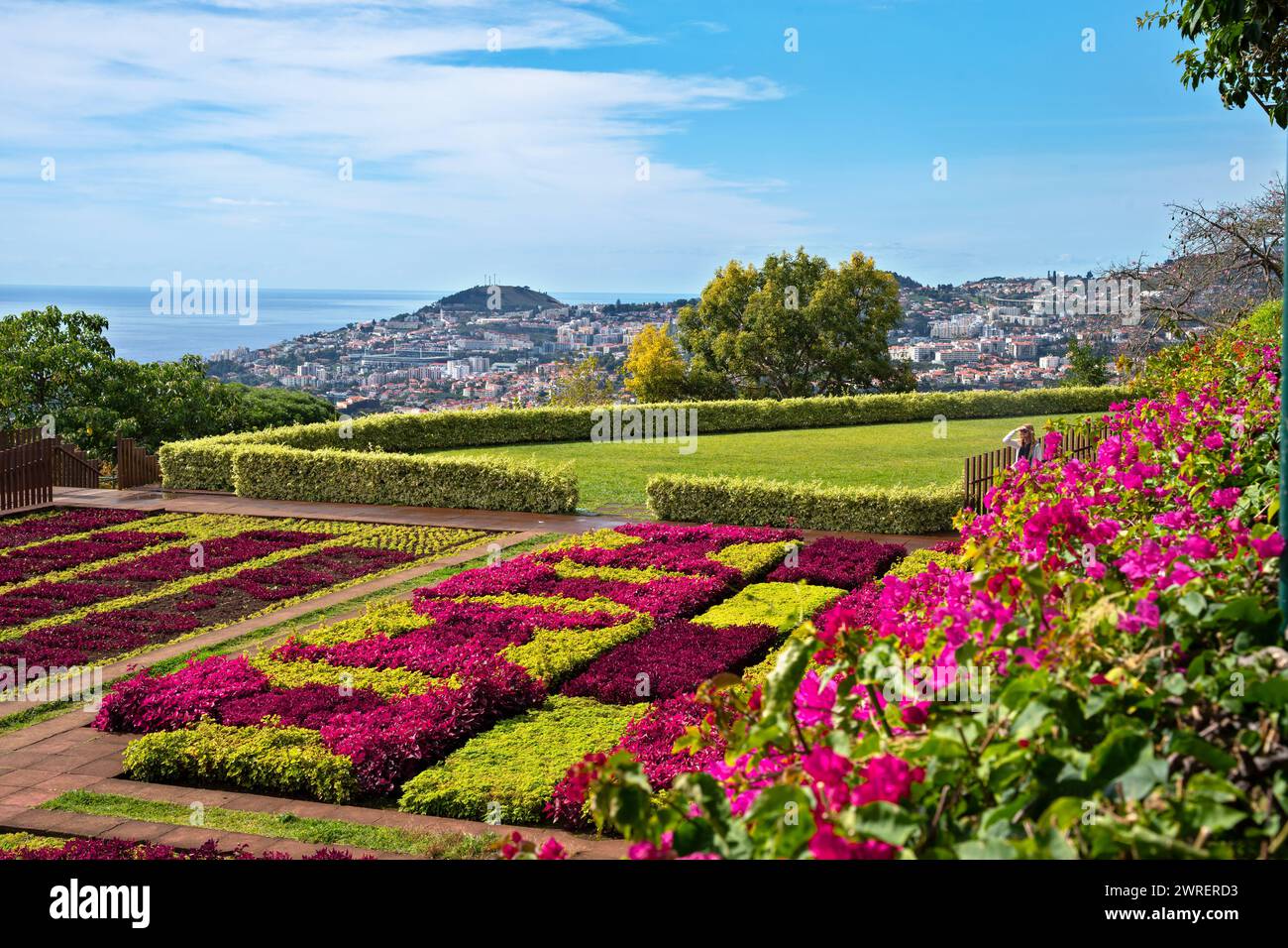 Les Jardins Botaniques tropicaux célèbres dans l'île de Madère, Funchal, Portugal Banque D'Images Les Jardins Botaniques tropicaux célèbres dans l'île de Madère, Funchal, Portugal Banque D'Images