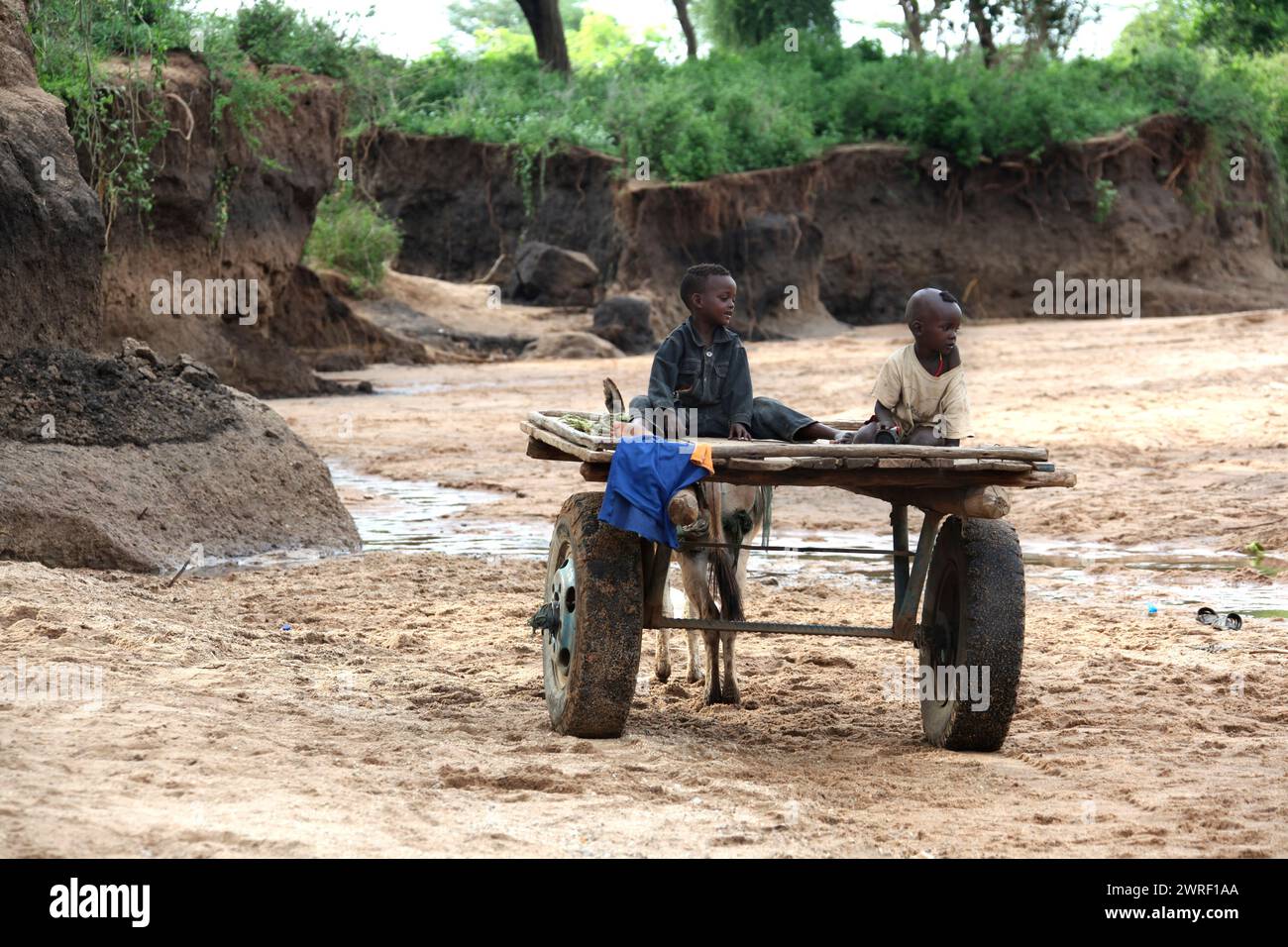 TURMI, ETHIOPIE - NOVEMER 24, 2011 : deux enfants non identifiés assis sur la charrette à cheval dans une région rurale d'Ethiopie. Banque D'Images