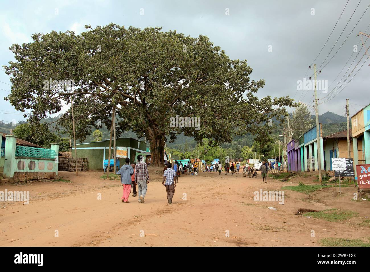 Jinka, ETHIOPIE - 20 novembre 2011 : des personnes non identifiées maintiennent leur mode de vie traditionnel dans la rue Jinka. Banque D'Images