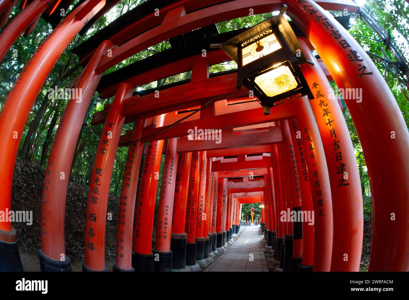 Sanctuaire Fushimi Inari, Kyoto, Japon, Banque D'Images