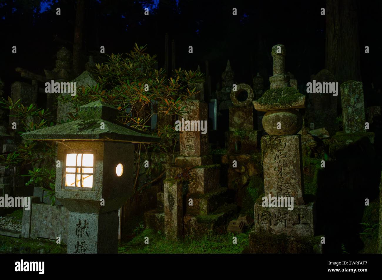 Promenade nocturne atmosphérique dans le cimetière du mont Koyasan, site du patrimoine mondial de l'UNESCO, Japon. Banque D'Images