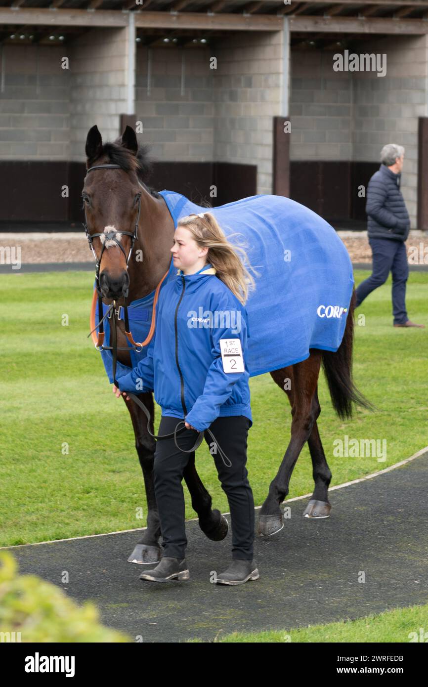 Hippodrome de Wincanton, jeudi 3 février 2022 - première course Banque D'Images