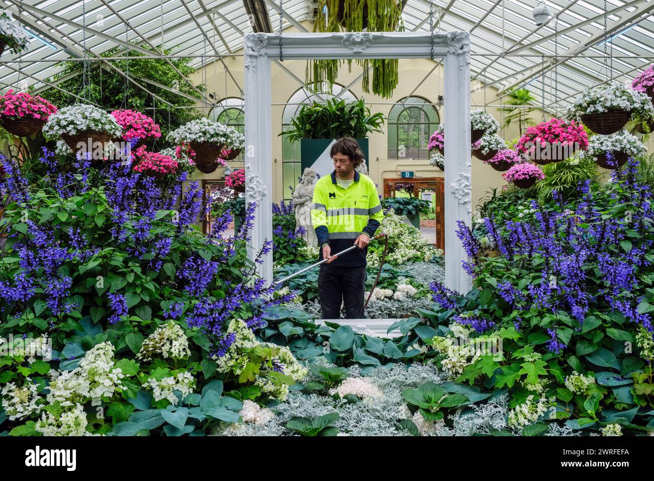 Un jardinier arrosant les plantes dans le conservatoire, Fitzroy Gardens, Melbourne, Victoria, Australie Banque D'Images