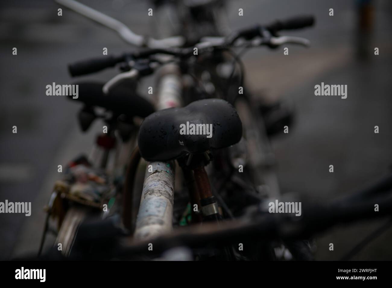 Gros plan de vélos stationnés dans une rangée Banque D'Images
