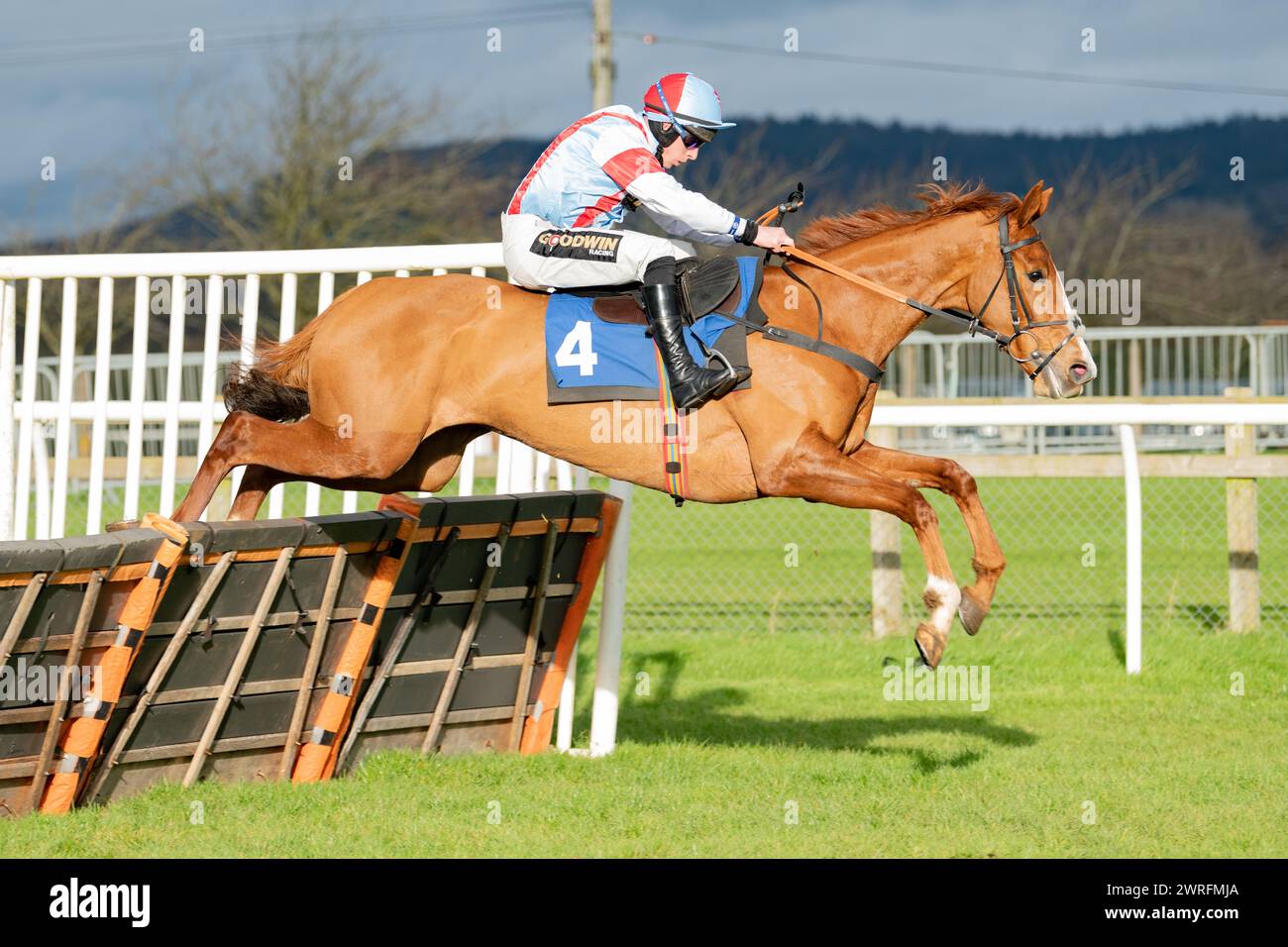 Quatrième course à Wincanton, le 3 février 2022 Banque D'Images