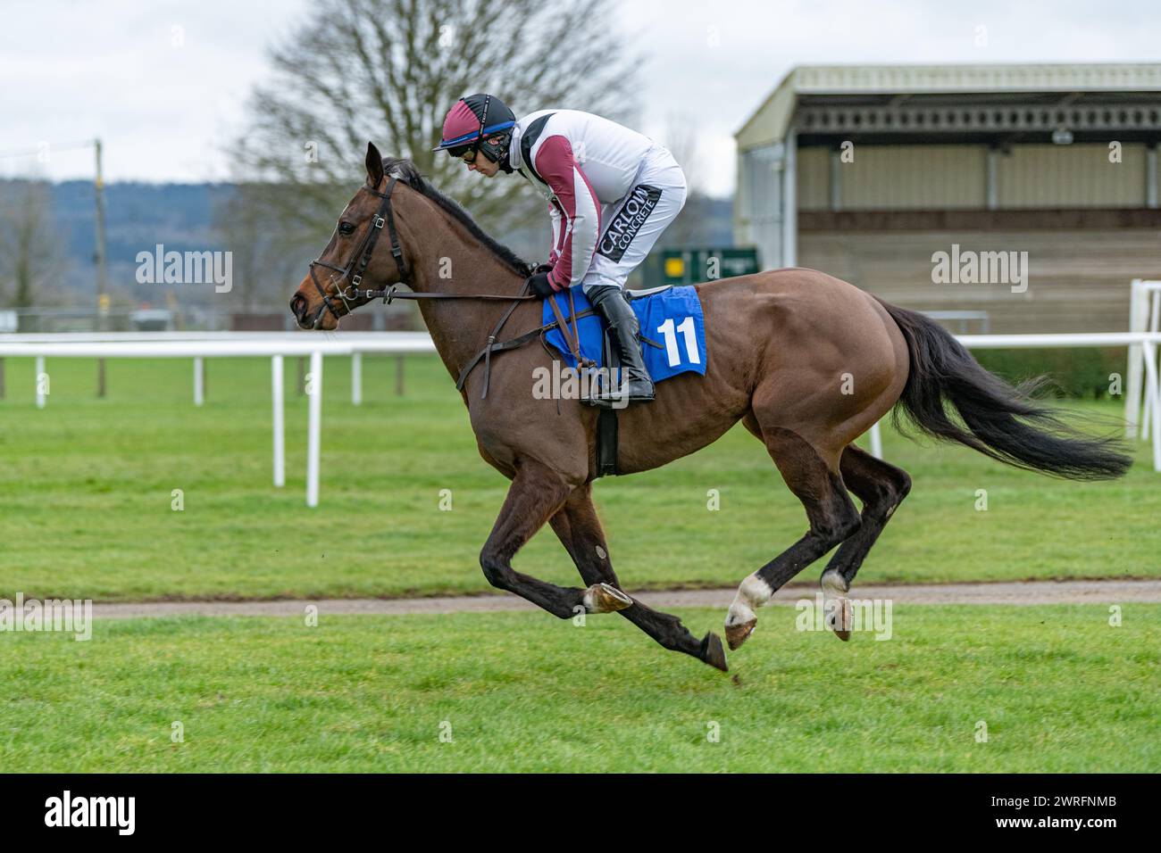 Cinquième course à Wincanton, le 3 février 2022 - haie des novices de Peckmoor Farm Lodges Banque D'Images