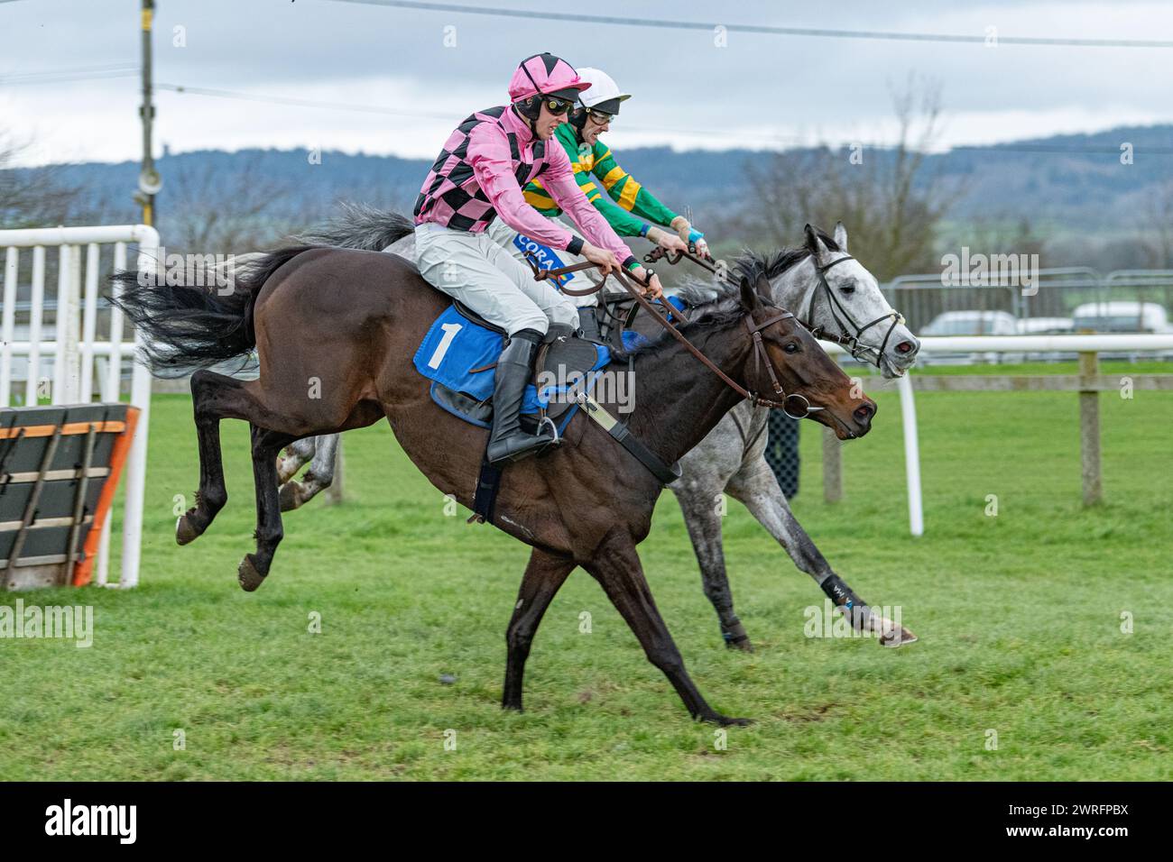 Cinquième course à Wincanton, le 3 février 2022 - haie des novices de Peckmoor Farm Lodges Banque D'Images