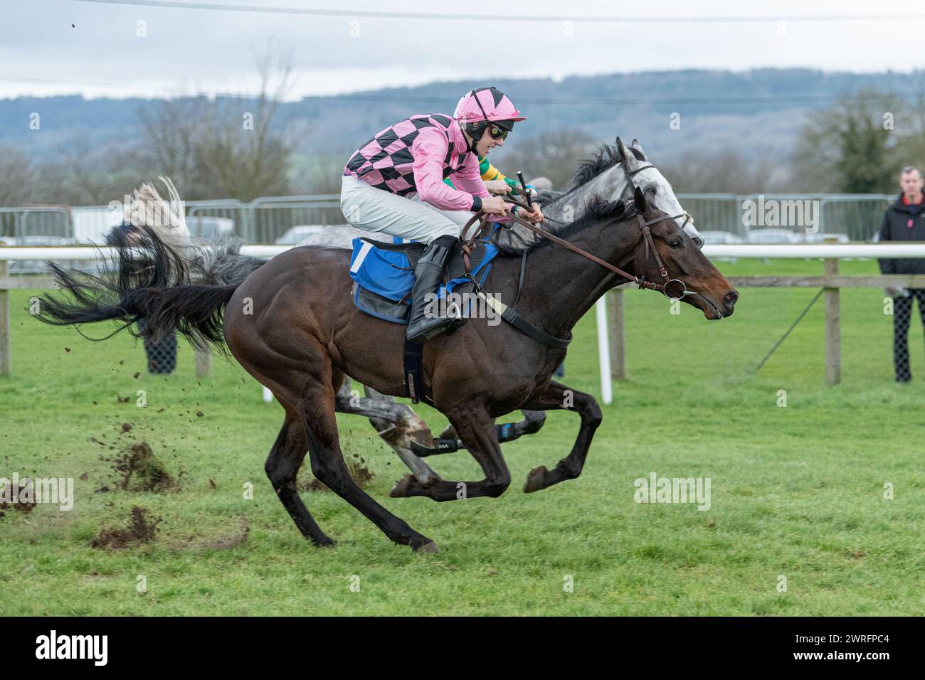 Cinquième course à Wincanton, le 3 février 2022 - haie des novices de Peckmoor Farm Lodges Banque D'Images