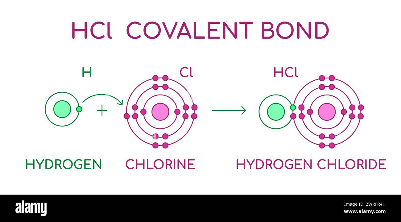 HCl liaison covalente chlorure d'hydrogène. Molécule diatomique, constituée d'un atome d'hydrogène H et d'un atome de chlore Cl. Acide chlorhydrique à l'état liquide. Illustration de Vecteur