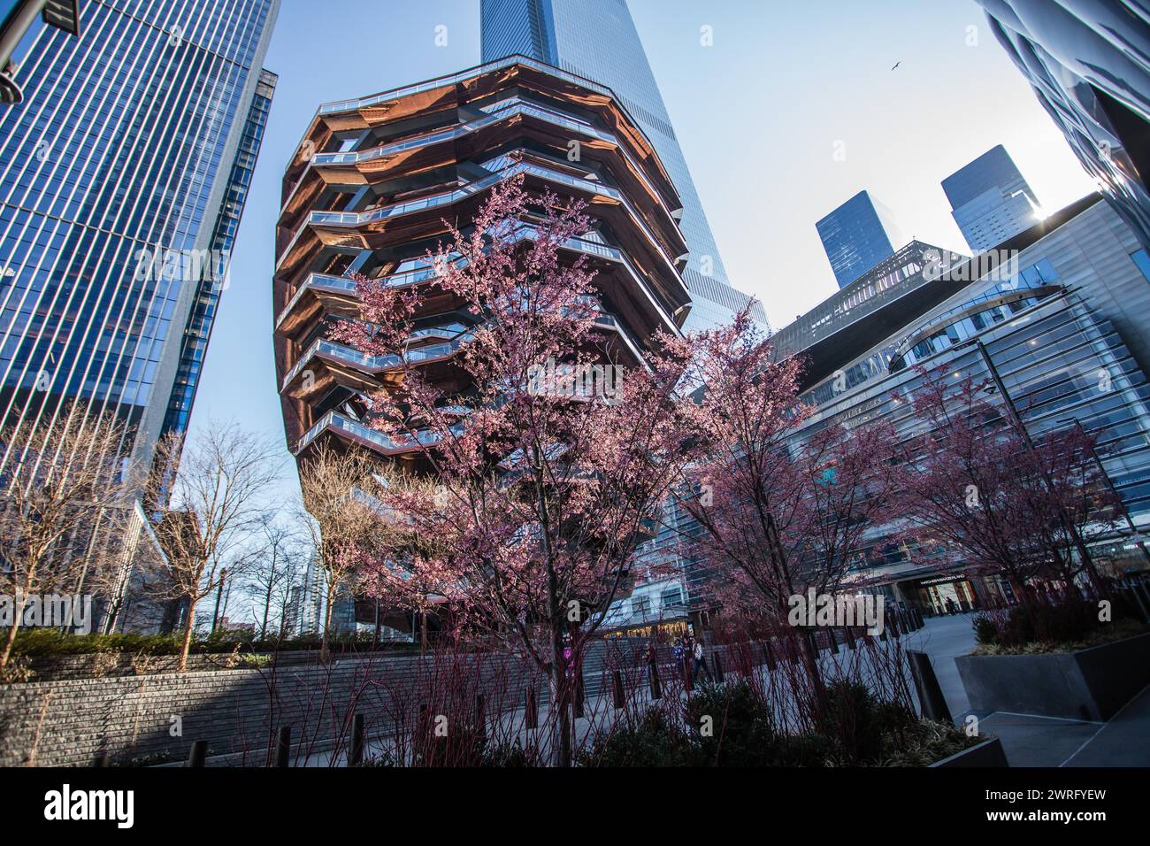 New York City, NY, États-Unis. 12 mars 2024. Des cerisiers en fleurs sont vus dans la région du navire dans les Yeards d'Hudson à la fin de l'hiver dans l'hémisphère nord sur l'île de Manhattan à New York aux États-Unis le mardi 12 mars 2024 (image crédit : © William Volcov/ZUMA Press Wire) USAGE ÉDITORIAL SEULEMENT! Non destiné à UN USAGE commercial ! Banque D'Images