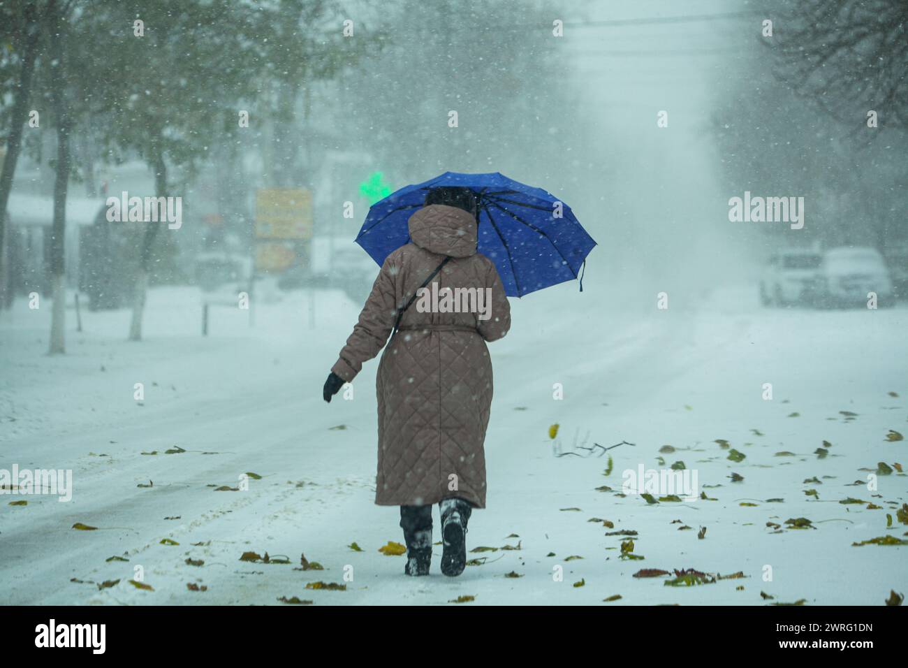 La photo de la grand-mère tenant un parapluie violet car dehors il y a un vent jaune et de gros flocons en hiver. Photo de haute qualité Banque D'Images
