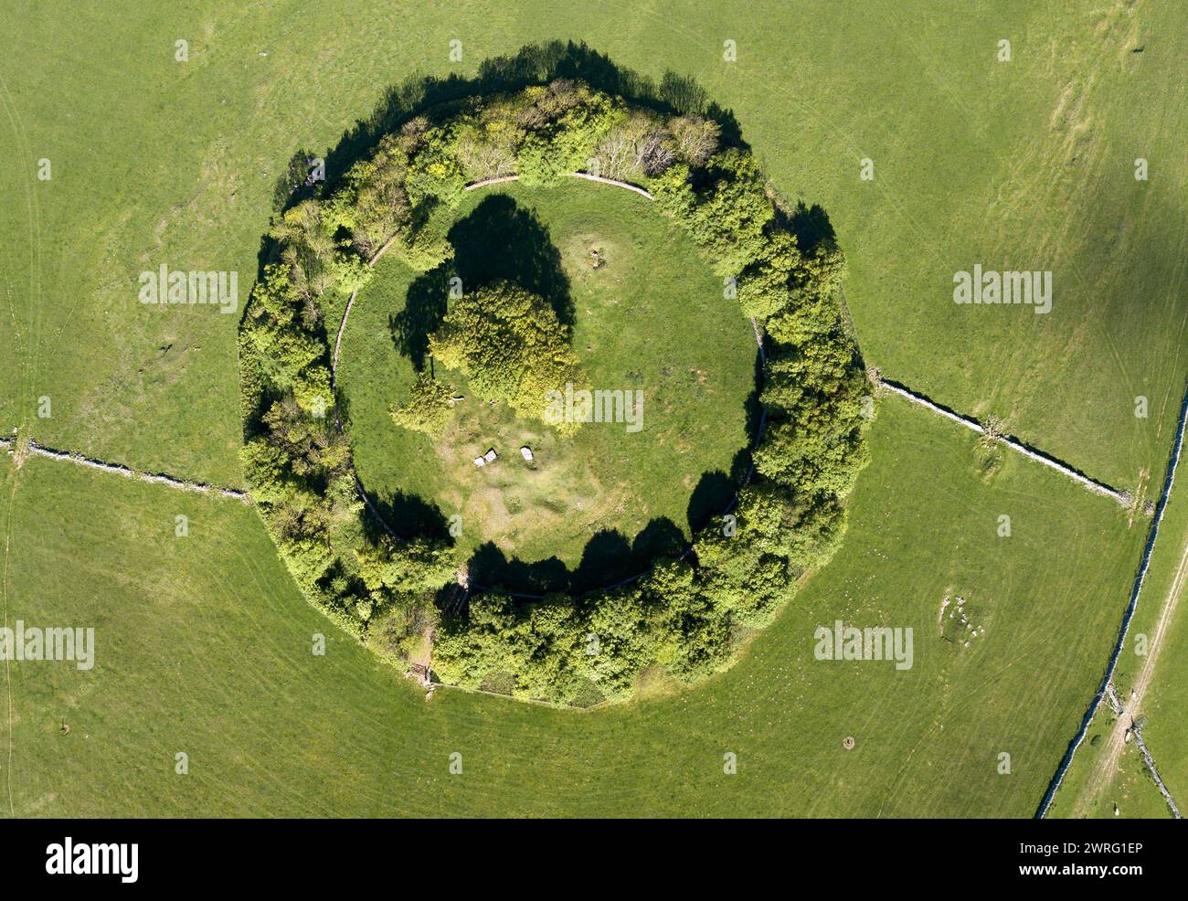 08/07/19 printemps (21/05/19) des images de drone époustouflantes montrant les quatre saisons au-dessus d'un monticule funéraire néolithique entouré d'arbres. Minninglow dans le W. Banque D'Images