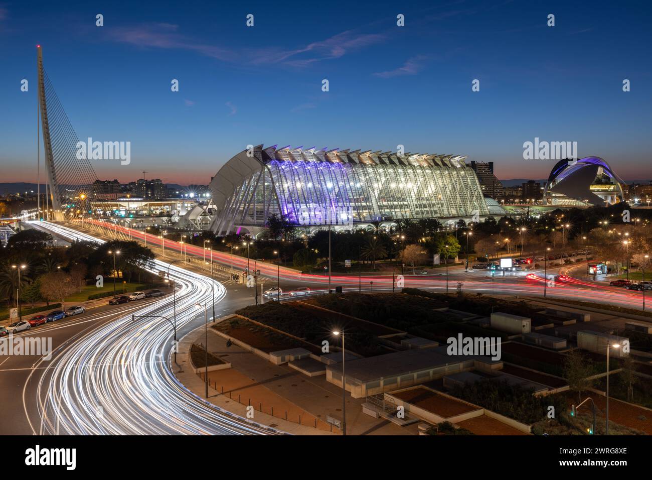 Vue panoramique de nuit dans les bâtiments de la Cité des Arts et des Sciences à Valence, Espagne Banque D'Images
