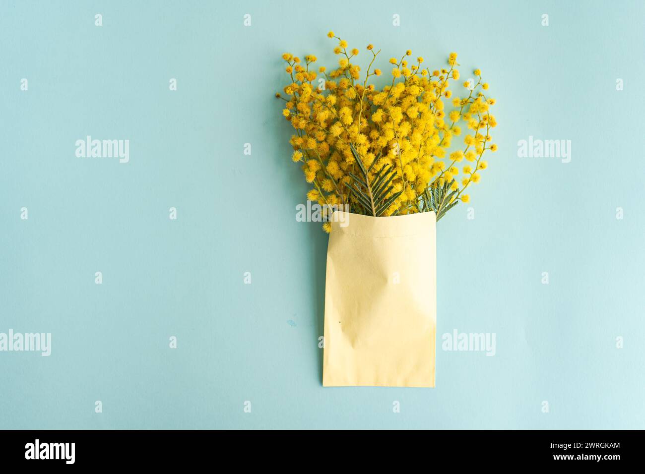 Vue aérienne d'un bouquet de fleurs de mimosa jaune dans une enveloppe sur une table Banque D'Images
