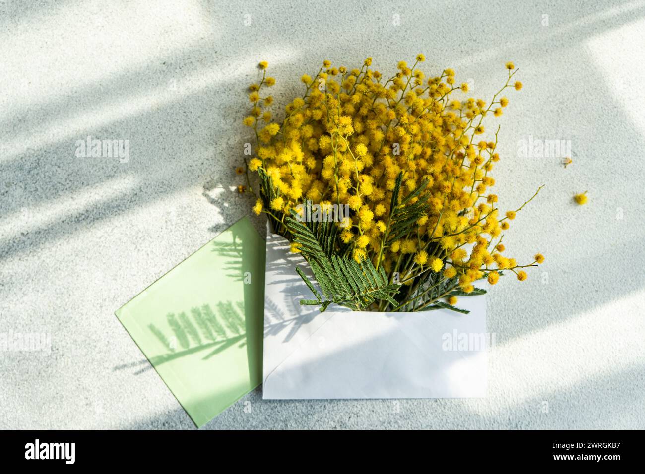 Vue aérienne d'un bouquet de fleurs de mimosa jaune dans une enveloppe sur une table Banque D'Images