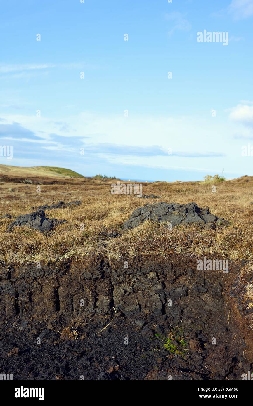 Vue sur les tourbières des Highlands écossais. La tourbe fraîchement coupée de la tourbière repose sur la prairie près du bétail, montrant la tourbière drainant Banque D'Images