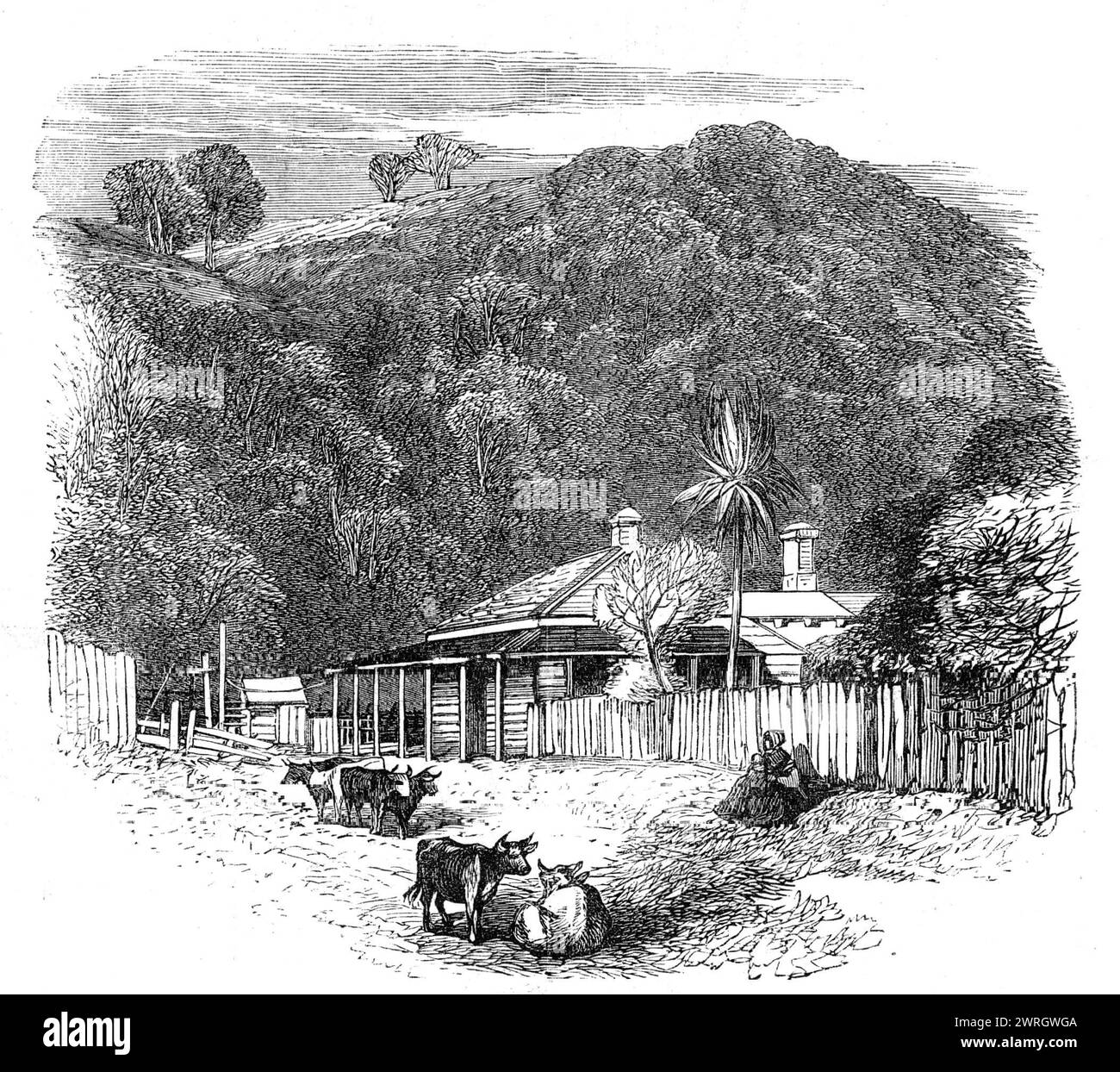 Vues au siège de la guerre en Nouvelle-Zélande : maison du colon à Waikato, 1864. Gravure d'après une photographie de Mr. A.E. Smith. 'La maison du colon est située sur le côté des têtes, pas très loin de l'église Waikato'. Tiré de "Illustrated London News", 1864. Banque D'Images