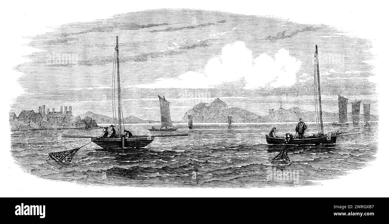 The Shellfish Supplies : oyster-Boats Dredging off Prestonpans, [Écosse], 1862. « Les pêcheries écossaises d'huîtres ne sont pas « cultivées ». Les pêcheurs de Prestonpans ou de Newhaven font entièrement confiance à l'augmentation naturelle des lits à partir du dépôt annuel de frai. Or, rien ne serait plus facile que pour ces hommes du Firth of Forth de construire à des endroits appropriés quelques lits artificiels; en fait, la demande excessive actuelle d'huîtres, que ces hommes aiment remarquablement satisfaire, appauvrira en peu de temps le stock reproducteur au point de nécessiter un ou deux nouveaux bancs... comme il faut un p Banque D'Images