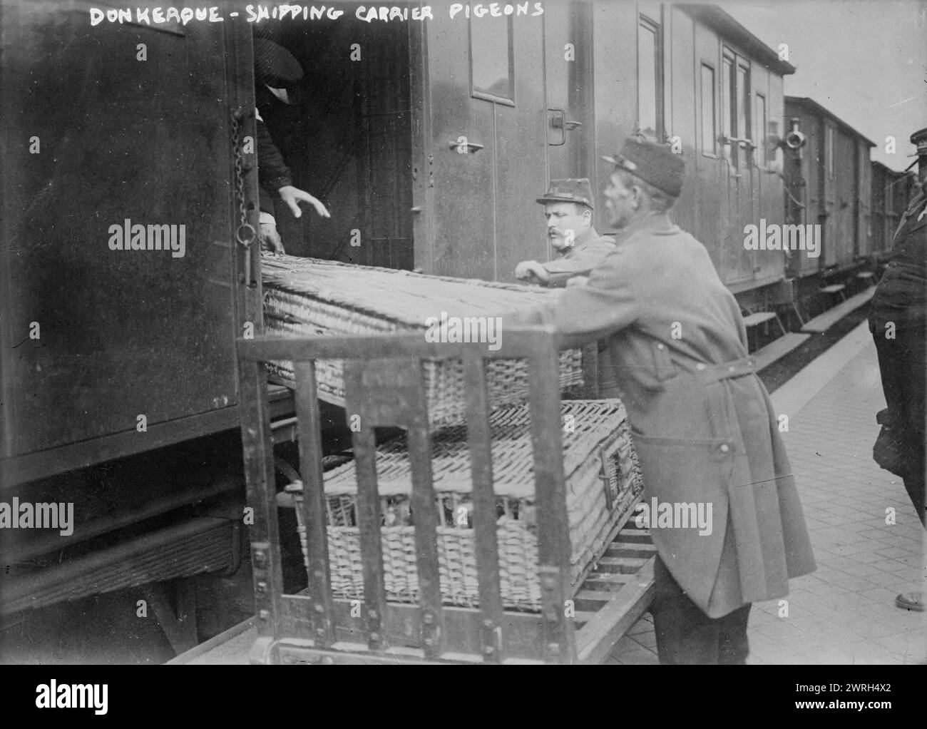 Donkerque [c.-à-d. Dunkerque], transporteur maritime pigeons, entre c1914 et c1915. Pigeons porteurs dans des paniers, chargés sur un wagon, Dunkerque, France. Banque D'Images