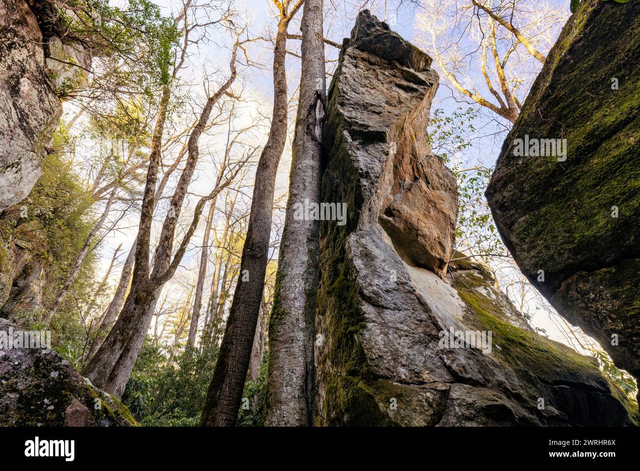 Granite City paysage - Nantahala National Forest, près de Cashiers, Caroline du Nord, États-Unis Banque D'Images