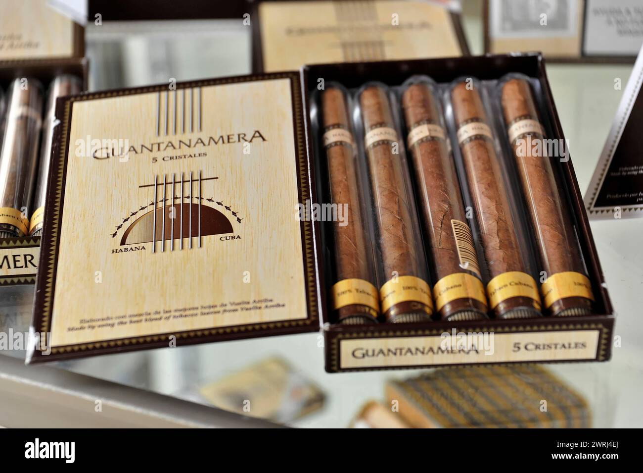 Beaux cigares Guantanamera disposés dans des boîtes en bois comme marchandises exclusives, Parque Natural Cienaga de Zapata, péninsule de Zapata, Cuba, Amérique centrale Banque D'Images