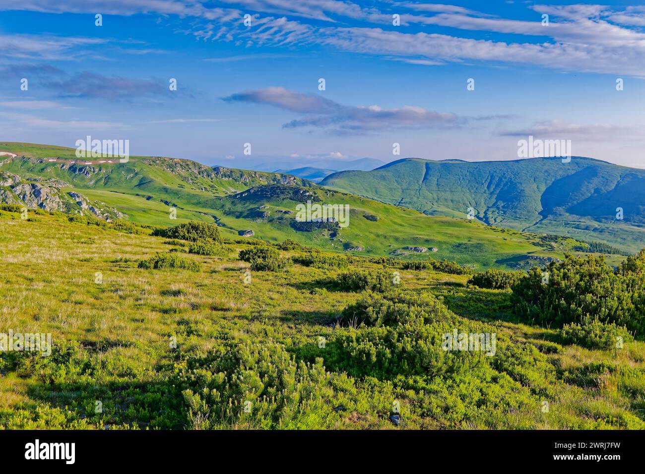 Vue sur les montagnes des Alpes de Transylvanie dans les Carpates du sud d'une hauteur dans la région de Malaia. Transalpina High Road, Malaia Banque D'Images