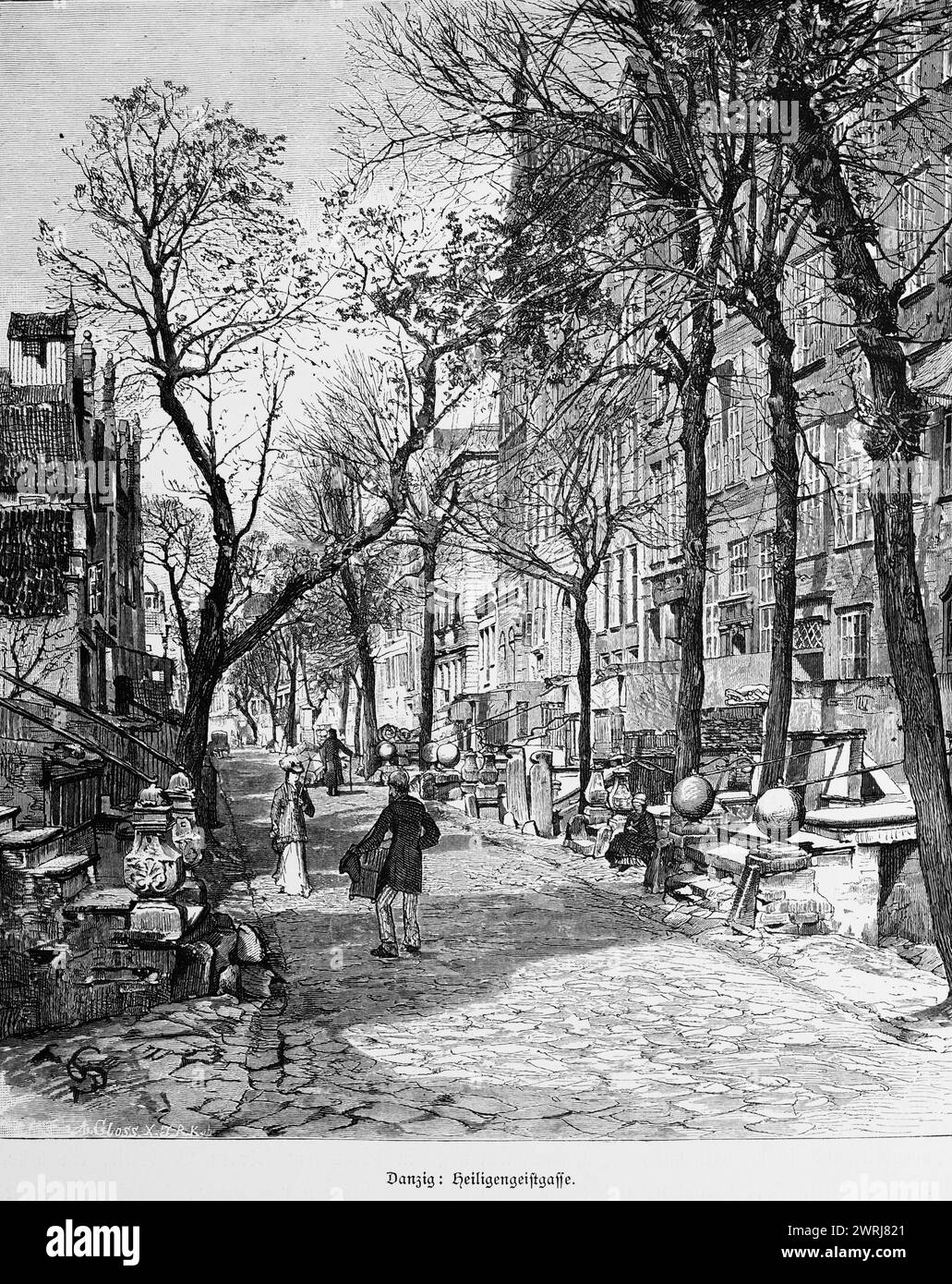 Heiligengeistgasse, Gdansk ou GdaÅ„SK, mer Baltique, Pologne, ruelle, poussettes, pavés, façades de maisons, architecture, arbres, escaliers, scène calme Banque D'Images