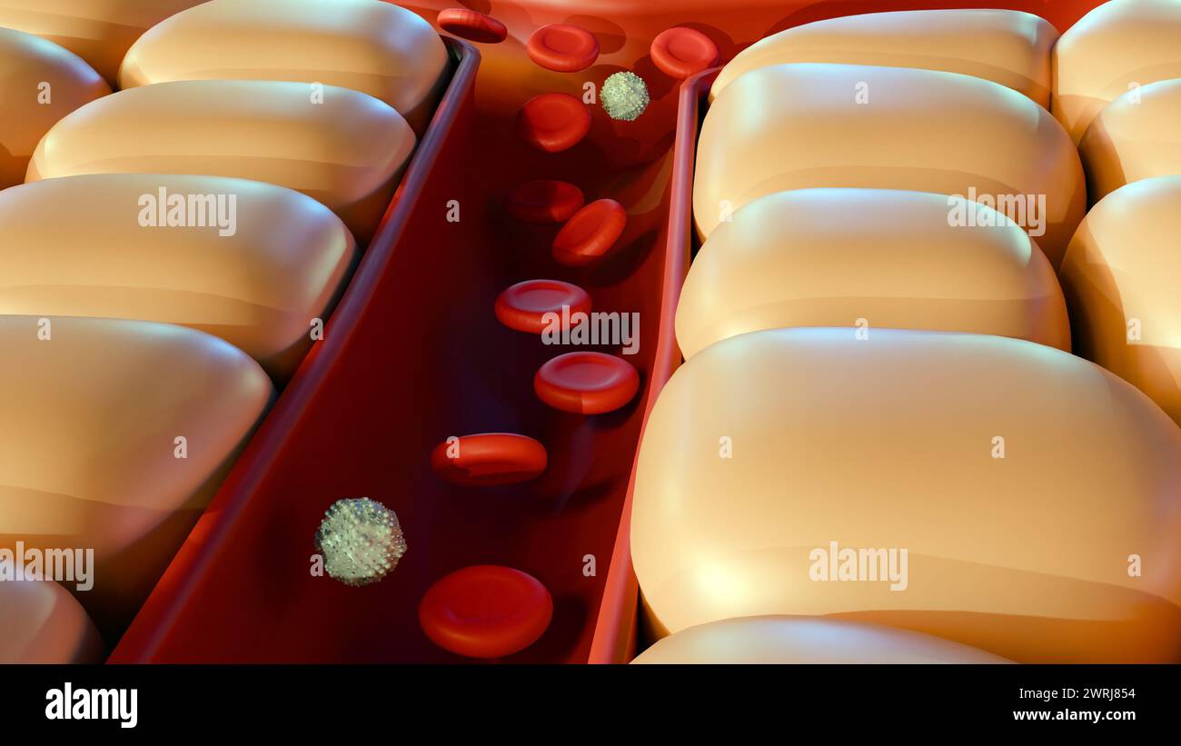 3d rendu des cellules autour de l'artère sanguine Banque D'Images