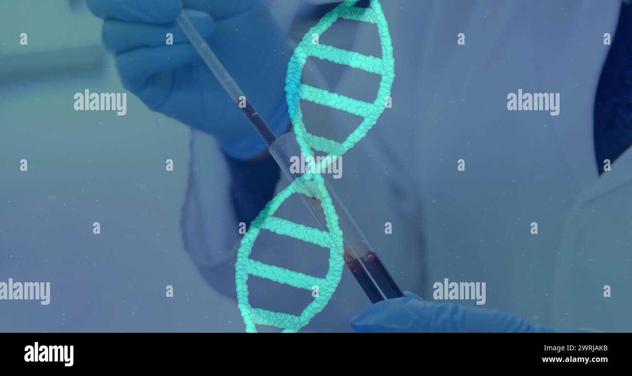 Image d'un brin d'ADN en rotation et au-dessus d'un scientifique portant une blouse de laboratoire travaillant dans un laboratoire Banque D'Images