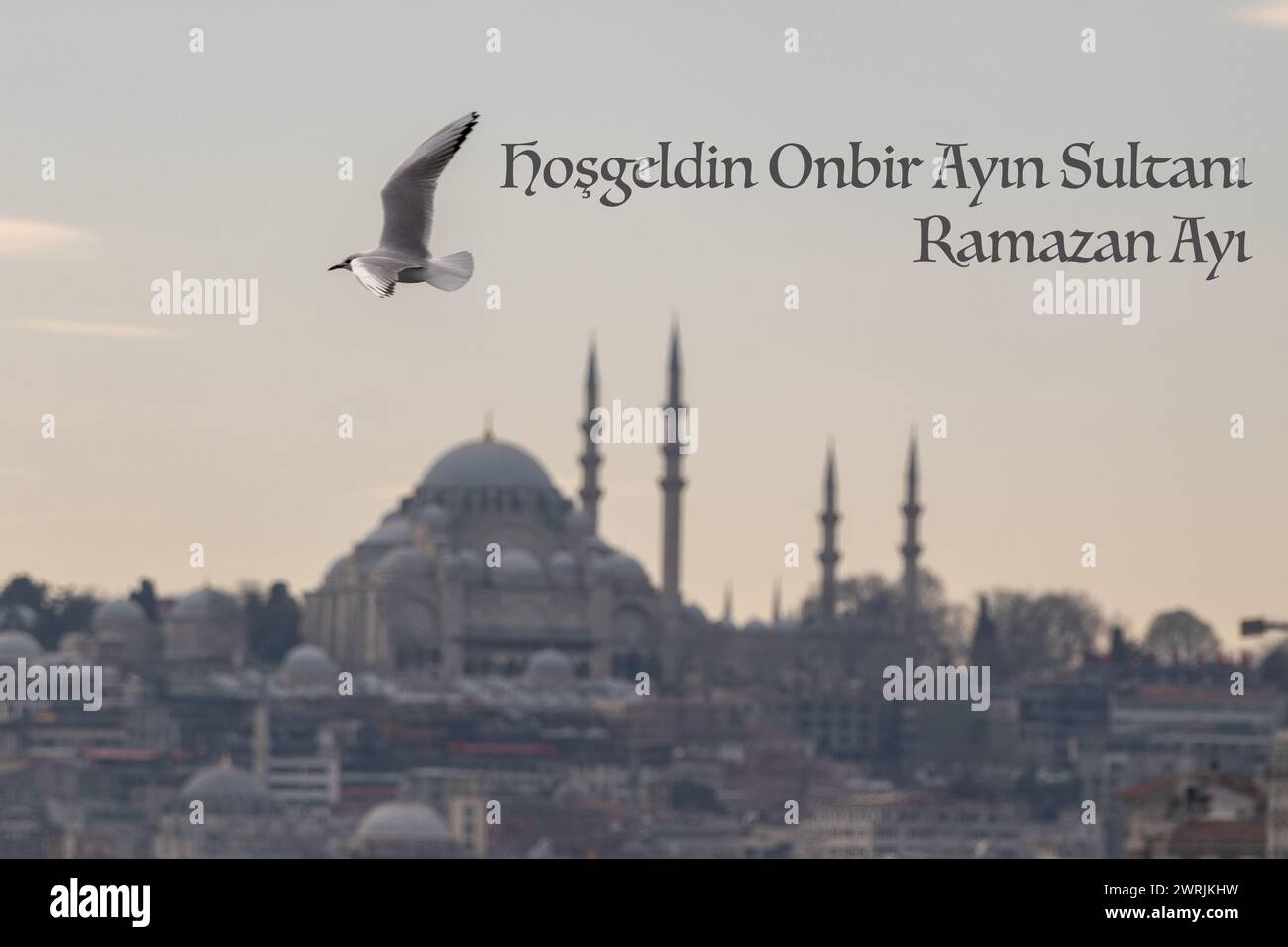 Bienvenue sur le thème du ramadan et vues sur la ville d'Istanbul Banque D'Images
