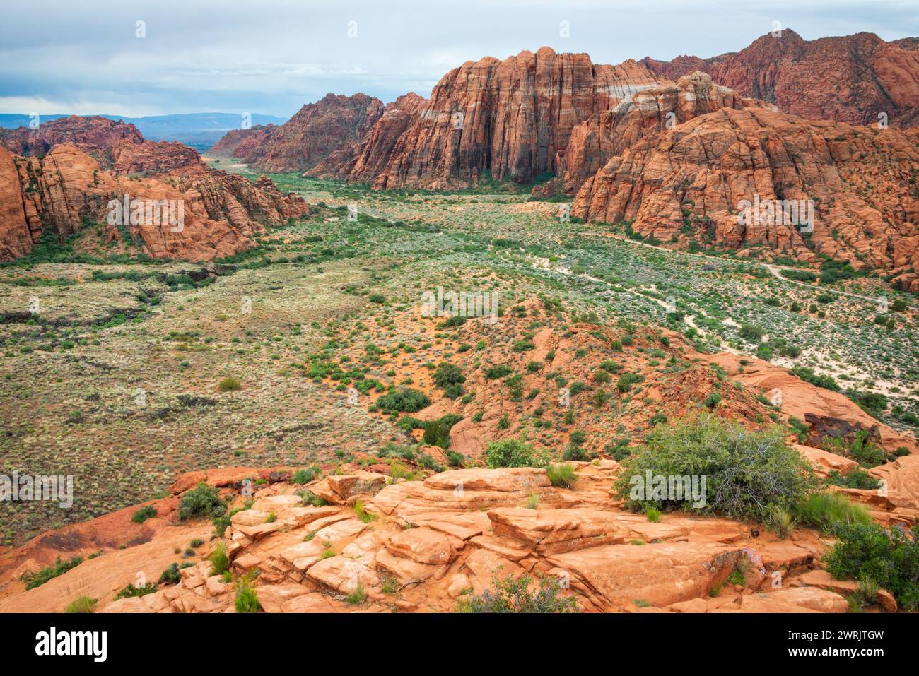 Snow Canyon State Park est un parc d'État de l'Utah, dans la réserve du désert de Red Cliffs, aux États-Unis Banque D'Images