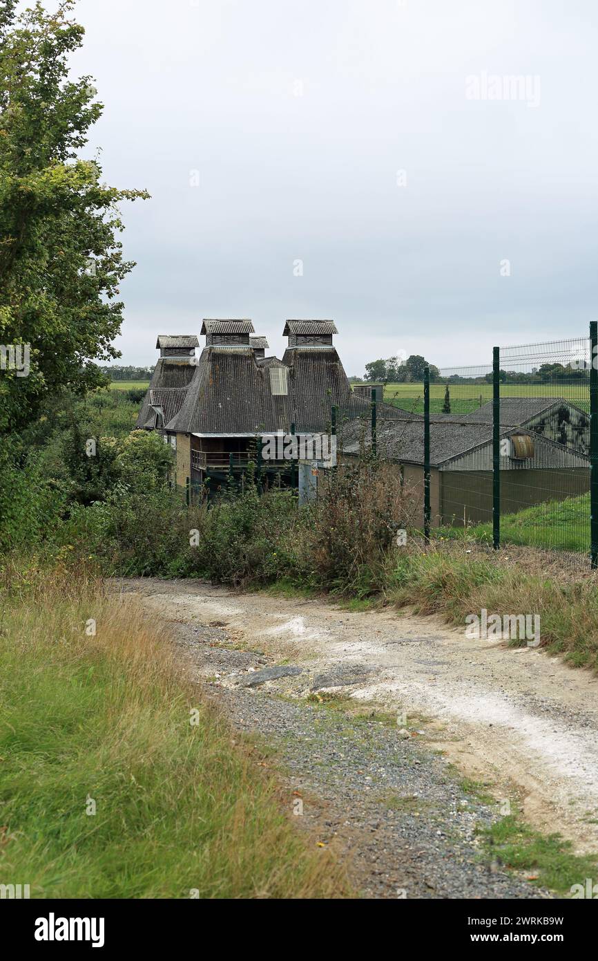 Oast contemporain à la ferme à Crouch, South Street, Faversham, Kent, Angleterre, Royaume-Uni Banque D'Images