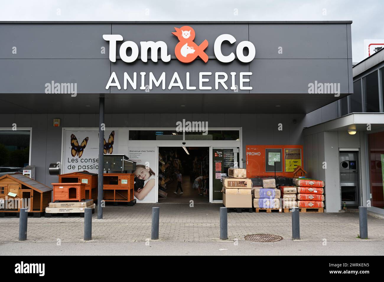 Magasin de fournitures pour animaux Tom & Co Animalerie Banque D'Images