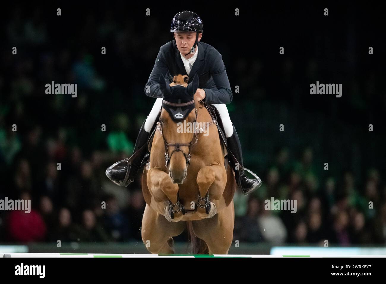 DenBosch, pays-Bas - 8 mars 2024. Bertram Allen, Irlandais, pilote Gary de Cerisy, concourt dans la catégorie 1.45m de vitesse au Rolex Dutch Master 2024 Banque D'Images