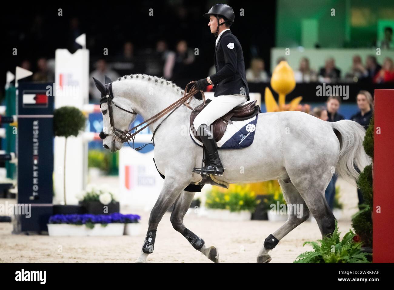 DenBosch, pays-Bas - le 8 mars, Robert Murphy, de Grande-Bretagne, à bord de Catch-me Van Berkenbroeck, concourt dans la catégorie 1,45 m de vitesse à la Rolex d 2024 Banque D'Images