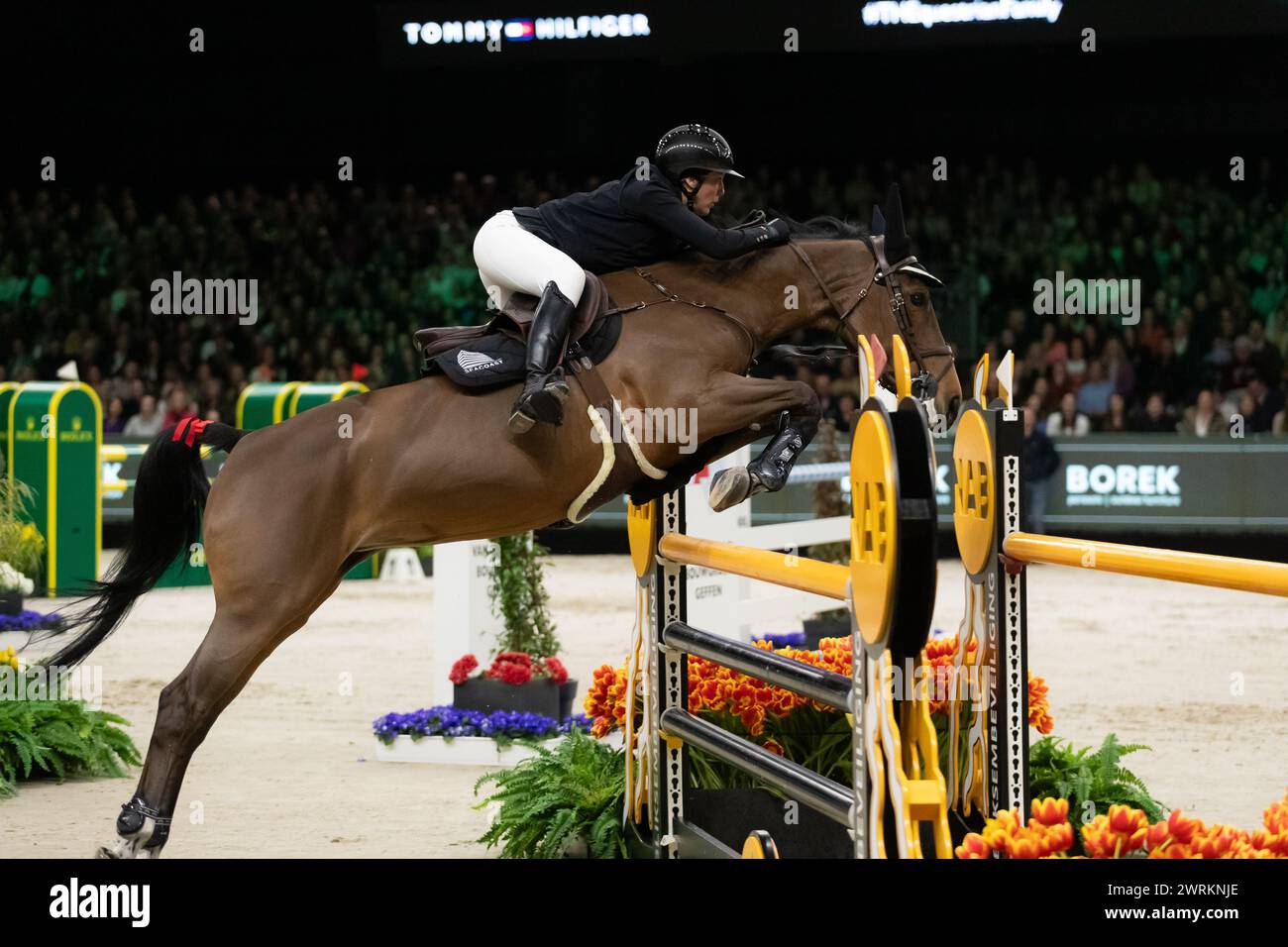 DenBosch, pays-Bas - 9 mars 2024. Gudrun Patteet de Belgique Riding Sea Coast Monalisa va't Paradijs concourt dans la classe de 1,45 m Indoor Derby at Banque D'Images