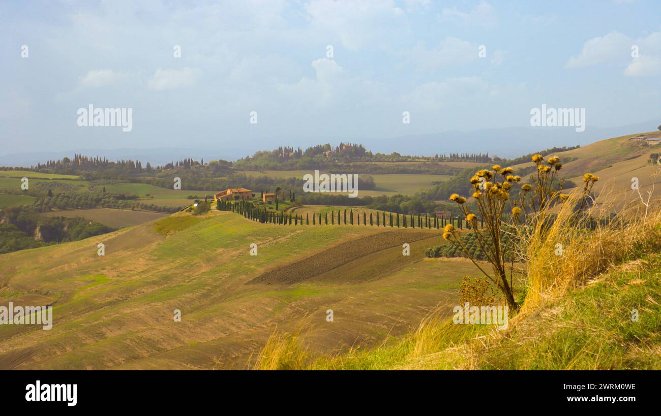 Toscane avec ses maisons caractéristiques et ses ruelles entourées de cyprès Banque D'Images