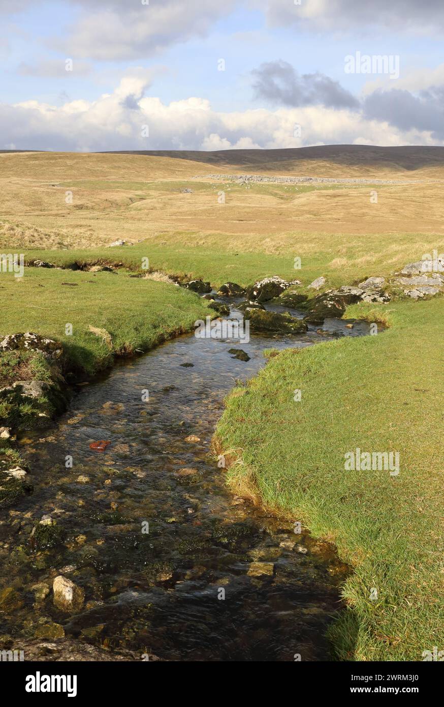 Crystal Clear Stream sur landes dans le parc national des Yorkshire Dales. Banque D'Images