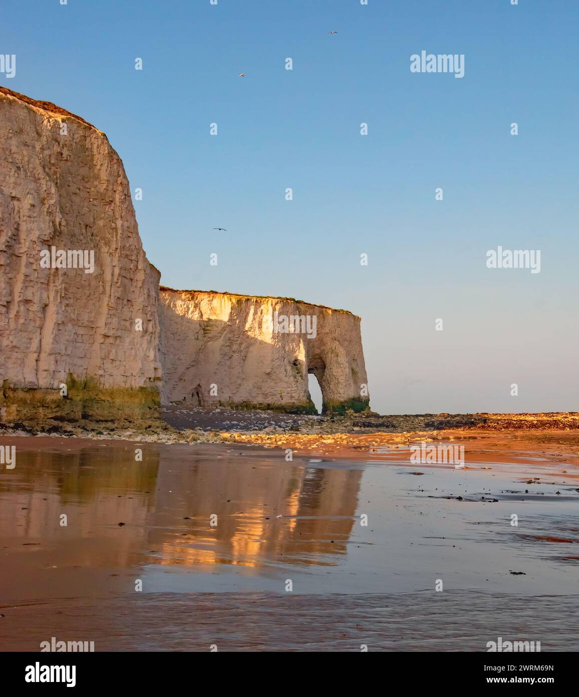 Botany Bay Kent White Cliffs et scintillante Wet Beach sur une marche après midi Banque D'Images