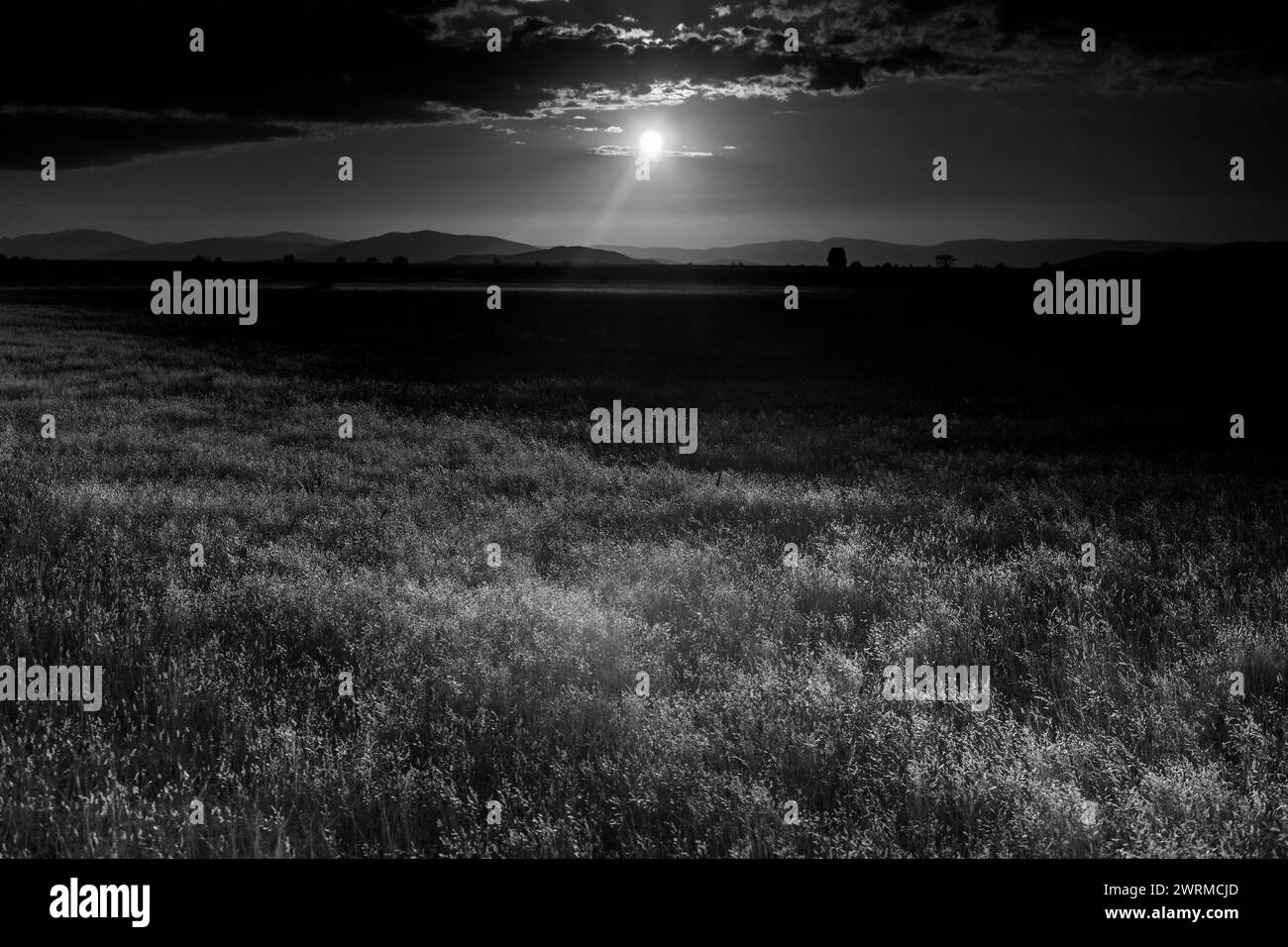 Le crépuscule descend sur un champ serein, avec le soleil couchant projetant une lueur étincelante sur l'herbe. Banque D'Images