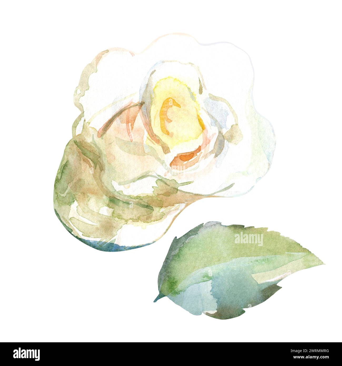 Ensemble d'illustration florale d'aquarelle de roses blanches avec des feuilles vertes dans les fleurs de jardin de collection. Isolé sur fond blanc. Motif floral de mariage Banque D'Images
